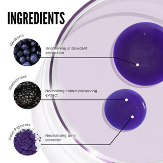 Champú Purple Reign - 250ml 