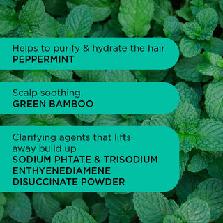 Detox Dynamo Shampoo - 250ml